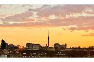 Penthouse kaufen in 10245 Friedrichshain, Über den Dächern Friedrichshains: Panorama-Penthouse mit Dachgarten und 360°-Blick
