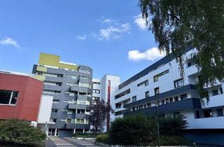Wohnung mieten in 59505 Bad Sassendorf, Sanierte 2 Zimmerwohnung im Zentrum von Bad Sassendorf!