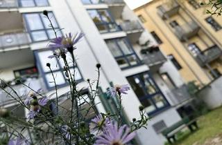 Wohnung mieten in Windthorststraße, 06114 Paulusviertel, Für die kleine Familie! Frisch renoviert und mit Balkon im Paulusviertel.