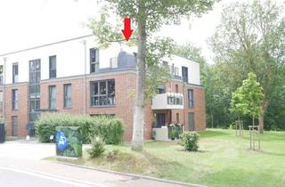 Wohnung mieten in 23970 Wismar-Süd, Herrliche Zweiraumwohnung mit Dachterrasse und Aufzug!