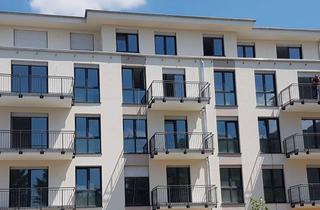 Wohnung mieten in Lämmerspieler Straße xx, 63165 Mühlheim, Wunderschön helle, großzügige 3-Zi Whg mit Süd-Balkon, 96 m2