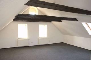 Wohnung mieten in 24837 Schleswig, Schleswig Altstadt, großzügige 2 Zimmerwohnung auf 2 Ebenen zu vermieten