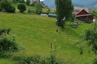 Wohnung mieten in Alte-Reichenbacher-Str. 111, 72270 Baiersbronn, Alltagstaugliche 2-Zimmer-Wohnung in Baiersbronn