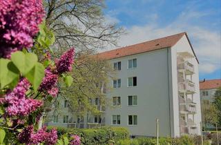 Wohnung mieten in Am Steinhof 50, 04808 Wurzen, Attraktive Wohnung in ruhiger Lage.