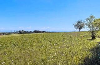 Grundstück zu kaufen in 78576 Emmingen-Liptingen, Exklusives Eckgrundstück mit 751 m² – sehr ruhige Wohnlage und unverbaubarer Alpenblick in Emmingen!