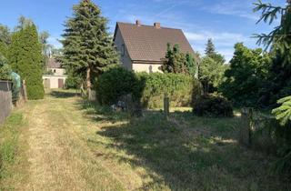 Haus kaufen in Deetzer Straße 15, 39264 Straguth, EFH mit Grundstück, ruhige, ländliche Gegend, Sanierungsbedürftig