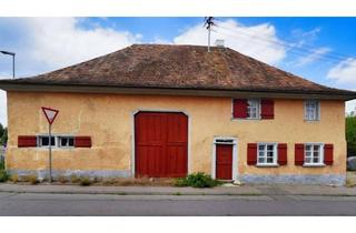 Haus kaufen in 88690 Uhldingen-Mühlhofen, Historisches Denkmalgebäude mit 516 qm Grundstück & genehmigter Bauvorbescheid