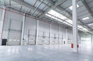 Gewerbeimmobilie mieten in 78727 Oberndorf, Moderne Hallenfläche mit Rampenandienung