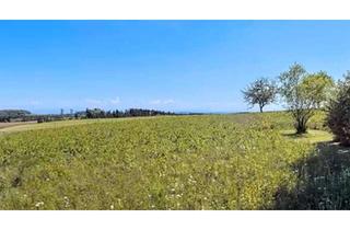 Grundstück zu kaufen in 78576 Emmingen-Liptingen, Exklusives Eckgrundstück mit 751 m² – sehr ruhige Wohnlage und unverbaubarer Alpenblick in Emmingen!