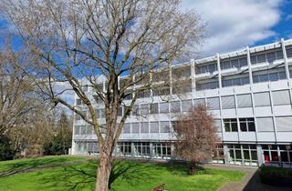 Büro zu mieten in 33378 Rheda-Wiedenbrück, Genug Platz für das ganze Team: Attraktiver Bürotrakt in sehr guter Lage von Rheda