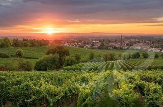 Einfamilienhaus kaufen in 67146 Deidesheim, Wohnen in der Toskana der Pfalz mit Blick auf den Paradiesgarten. Außergewöhnliches Einfamilienhaus.