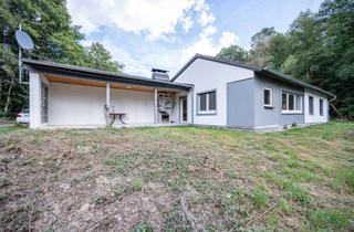 Haus kaufen in 55481 Dillendorf, Wo morgens die Vögel wecken: Bungalow am Waldrand mit rund 8.700 m² Wiese und Naturgarten