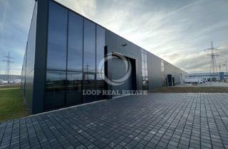 Gewerbeimmobilie mieten in 53840 Troisdorf, Neubau - Lager/-Produktion | Zentral in Troisdorf | provisionsfrei