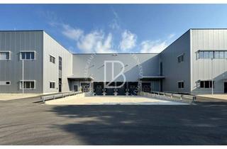 Gewerbeimmobilie mieten in 63322 Rödermark, "BAUMÜLLER AG" - ca. 6.000 m² Lager-/Logistikhalle - Top Anbindung / sofort verfügbar!