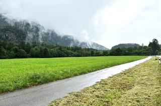 Grundstück zu kaufen in 83229 Aschau, Landwirtschaftliche Fläche Grünland