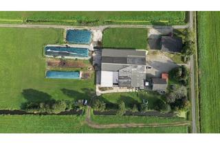 Lager kaufen in 26931 Elsfleth, 10,3 ha Landwirtschaftliche Hofstelle mit Milchviehstall, Maschinenhalle und Grünland im Außenbereich von Elsfleth