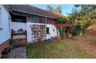 Einfamilienhaus kaufen in 06889 Lutherstadt Wittenberg, Wittenberg Lutherstadt - Grundstück Einfamilienhaus Scheune Garten