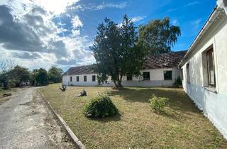 Haus kaufen in 17153 Stavenhagen, Stavenhagen - Viel ist möglich !!!! Ivenack - 530 m2 & 3800 m2 Grundstück