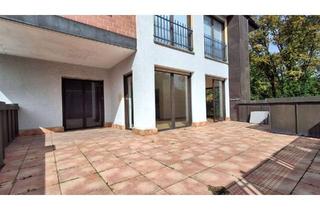 Wohnung mieten in 61462 Königstein, Großzügige 3 Zimmer mit großer Terrasse u. PKW Stellplatz (optional)