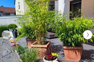 Wohnung mieten in Kettelerstraße 34, 73527 Schwäbisch Gmünd, Attraktive 2,5-Zimmer-Wohnung mit Balkon und Einbauküche in Schwäbisch