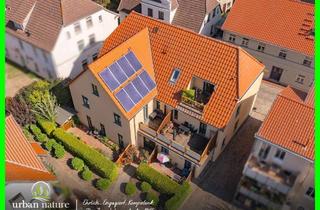 Mehrfamilienhaus kaufen in 18209 Bad Doberan, Solide investieren in Bad Doberan – Mehrfamilienhaus mit 7 WE (7 Grundbücher)