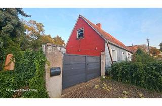 Einfamilienhaus kaufen in 39397 Gröningen, Gröningen - Haus zu verkaufen in Kroppenstedt