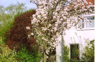 Einfamilienhaus kaufen in 61118 Bad Vilbel, Bad Vilbel - Hochwertiges, sehr gepflegtes Einfamilienhaus mit klarem Zuschnit