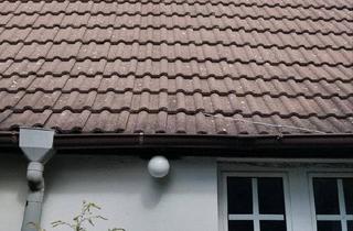 Einfamilienhaus kaufen in 06425 Alsleben, Alsleben (Saale) - Handwerker-Sanierungsobjekt in Plötzkau