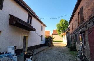 Haus kaufen in 06632 Freyburg, Freyburg (Unstrut) - MFH Dreiseitenhof