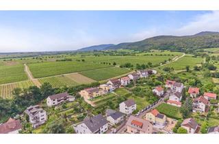 Wohnung mieten in Weinbergstrasse 38, 67146 Deidesheim, Wundervolle 3-Zimmer-Wohnung in Deidesheim mit genialem Ausblick