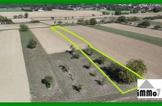 Grundstück zu kaufen in 75443 Ötisheim, Landwirtschaftsfläche mit Acker- und Grünland in Ötisheim Gemarkung Klammenbaum