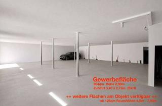 Büro zu mieten in Niederlehen, 88239 Wangen, Gewerbefläche / Werkstatt / Büro / Lager / Halle zu vermieten