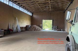 Gewerbeimmobilie mieten in Niederlehen, 88239 Wangen, Halle als Lager, Produktionsfläche oder Einbau Padel Court