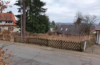 Grundstück zu kaufen in Waldsaumweg 4a, 37441 Bad Sachsa, Grundstück Bad Sachsa voll erschlossen