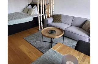 Wohnung kaufen in Hauptstraße 23, 78141 Schönwald, Alltagstaugliche 1-Zimmer-Wohnung in Schönwald im Schwarzwald