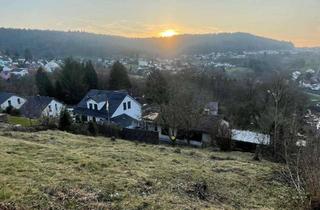 Grundstück zu kaufen in Riesenbergweg 11, 69259 Wilhelmsfeld, Traumgrundstück mit unverbaubarem Ausblick ohne Marklerprovision