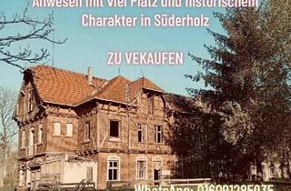 Haus kaufen in 18516 Süderholz, Süderholz - Anwesen mit viel Platz und historischem Charakter in Süderholz