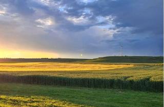 Wohnung mieten in 55278 Selzen, Selzen - Naturliebhaber aufgepasst! 2,5 Zimmer-Wohnung im EG mit Terrasse & traumhaften Blick