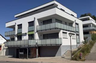 Penthouse kaufen in 88718 Daisendorf, Gepflegte, neuwertige, moderne 2,5-Zi. Whg. mit "Penthouse Charakter" in Meersburg-Daisendorf!!