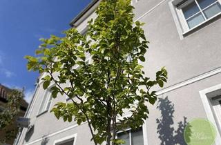 Wohnung kaufen in Nürnberger Straße 23, 91413 Neustadt, ** BESTLage ** in historischer Altstadt ** DIE Top 3 Zimmer-Garten-Whg ** 120 qm ** 2 Stellplätze