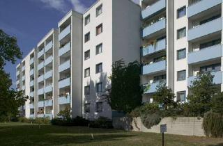 Wohnung mieten in Reichweindamm 43, 13627 Charlottenburg, Handwerkerobjekt - 2,5 - Zimmer-Wohnung mit Gestaltungspotenzial