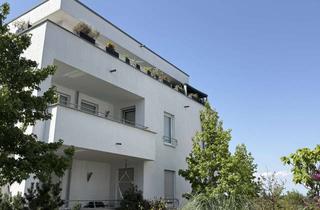 Wohnung mieten in Gräfendeichstraße 43, 60599 Oberrad, Außergewöhnliches Wohnen mit zwei Dachterrassen in Frankfurt-Oberrad