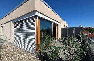 Penthouse mieten in Regenerstrasse, 88045 Friedrichshafen, 2- Zimmer- Penthouse mit Seesicht in Friedrichshafen Windhag