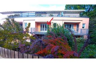 Wohnung mieten in 85456 Wartenberg, Helle 2 Zi. Wohnung m. großen Balkon, EBK, TG Stellplatz