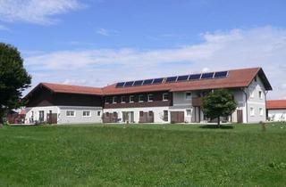 Wohnung mieten in Forst, 83352 Altenmarkt, -Niedrigenergie-Wohnung mit Terrasse u. Garten