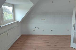 Wohnung mieten in 56203 Höhr-Grenzhausen, Frisch renovierte Dachgeschosswohnung 2-ZKB