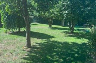 Grundstück zu kaufen in 04425 Taucha, Ihr Haus. Ihr Garten. Ihr eigener Wald. Außergewöhnliches Grundstück mit ca. 1.781 m² Gesamtfläche