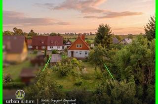 Doppelhaushälfte kaufen in 18356 Barth, Ruhig gelegen, grün umgeben – Doppelhaushälfte in der beliebten Walther-Rathenau-Siedlung