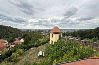Haus mieten in 01445 Radebeul, Mehr Radebeul..., Weinberg und Blick geht nicht...