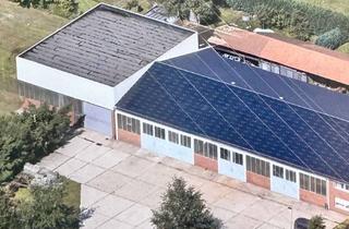 Gewerbeimmobilie mieten in 33335 Gütersloh, Industriehalle mit Freifläche in 33335 Gütersloh-Avenwedde